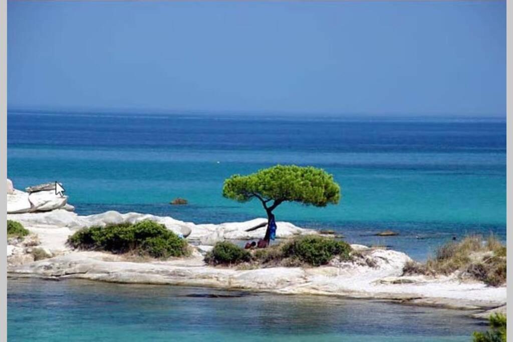 Nefolia Villa Vourvourou Buitenkant foto
