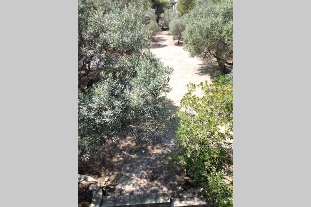 Nefolia Villa Vourvourou Buitenkant foto